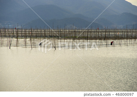 養殖場,昌興郡,全南 養殖場,昌興郡,全南 46800097