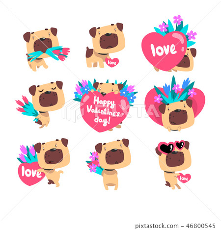 Funny Pug dog with bouquetds of flowers and hearts set, cute Valentine animal character vector 46800545