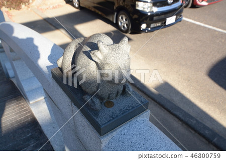 Boiled cow Wish 46800759