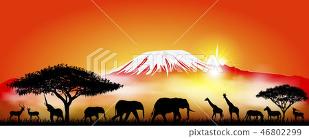 Savannah animals on the background of mount  46802299