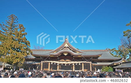 Samukawa Shrine元旦 Samukawa Shrine元旦 46802632