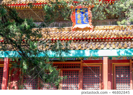 Forbidden City Palace Museum Beijing, China Fortunate City Forbidden City 46802845