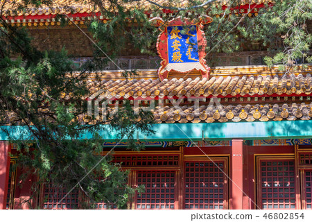 紫禁城故宮博物院 中国北京観光スポット Forbidden City 世界五大博物館 46802854