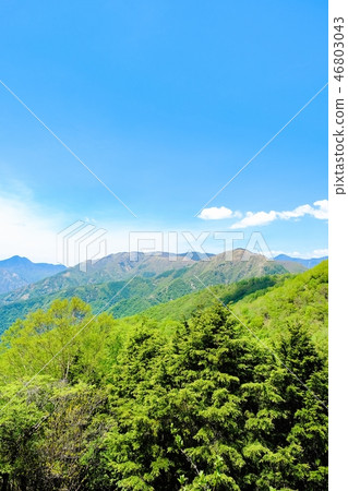 Mountain range of northern Kanto seen from half moon mountain Mountain range of northern Kanto seen from half moon mountain 46803043
