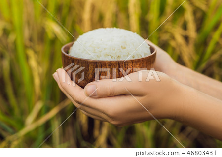 The hand holds a cup of boiled rice in a wooden cup, against the background of a ripe rice field 46803431