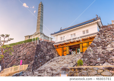 Kofu, Japan Old Castle 46803781