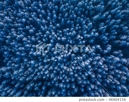Background texture of a frozen forest at winter, aerial shot 46804156
