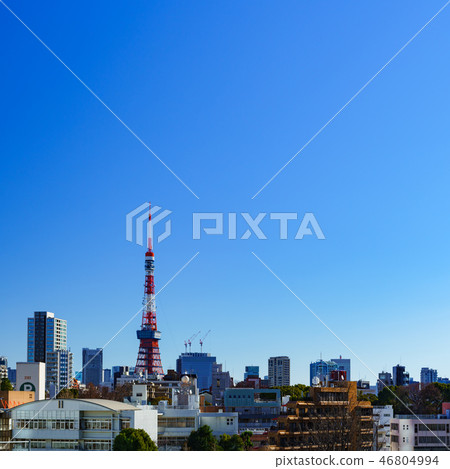 [東京]東京塔 46804994