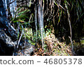 Icicle 46805378