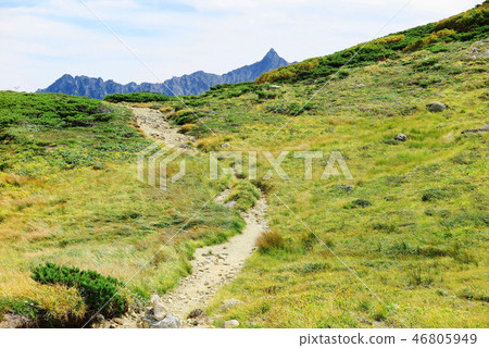 Mt. Mt. Mt. Mt. Mt. Mt. Mt. Mt. Mt. Mt. 46805949