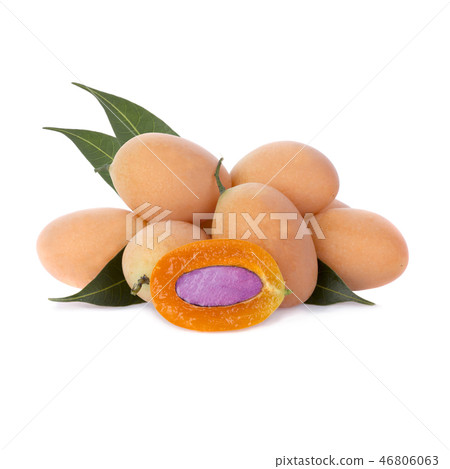 Marian Plum or Plum Mango 46806063