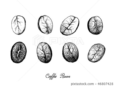 Different of Coffee Beans on White Background Different of Coffee Beans on White Background 46807428