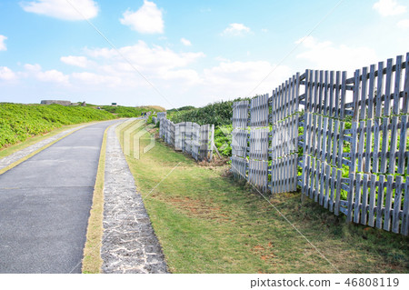 Okinawa, Japan 46808119