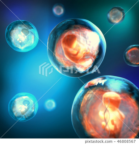 Embryo trapped in a bubble with a DNA strand 46808567