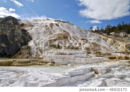 Yellowstone National Park Mammoth Hot Springs 46810173