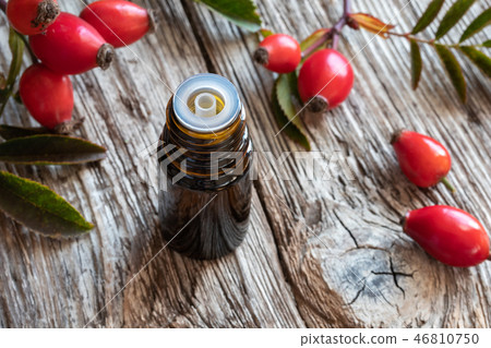 A bottle of rose hip seed oil with fresh rose hips A bottle of rose hip seed oil with fresh rose hips 46810750