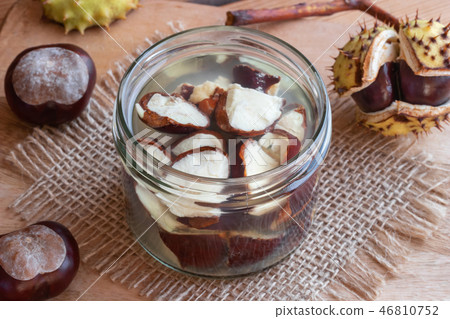Preparation of tincture from fresh horse chestnuts 46810752