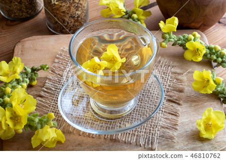 A cup of mullein tea with fresh mullein flowers A cup of mullein tea with fresh mullein flowers 46810762