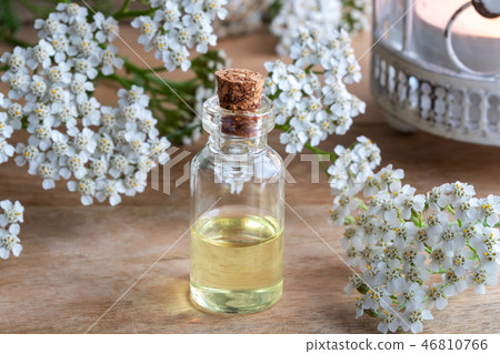 A bottle of yarrow essential oil with yarrow A bottle of yarrow essential oil with yarrow 46810766