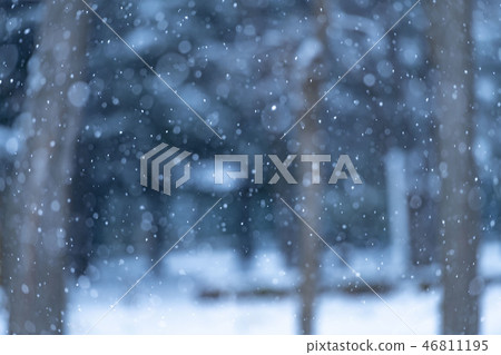 Snowy winter scene 46811195