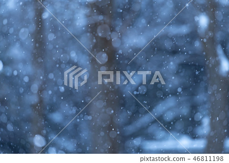 下雪的冬天場面 46811198