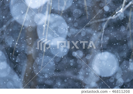 Snowy winter scene Snowy winter scene 46811208