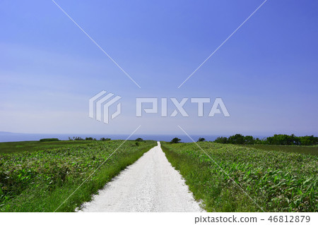 Sōya Hills Sōya Hills 46812879