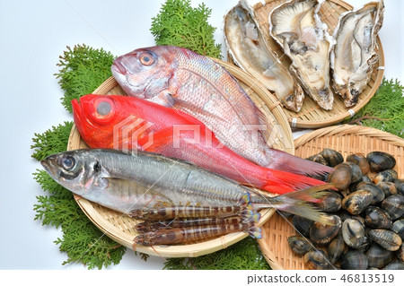 Caution) Small rubbish Small scratch dirt remains on the background. Fresh seafood / fresh fish (golden salmon, mackerel, salmon, oyster, clams, prawns) 46813519
