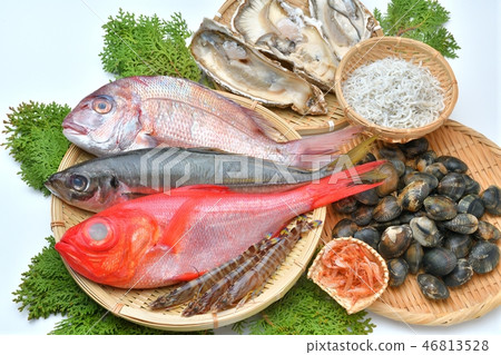 fresh fish and prawns