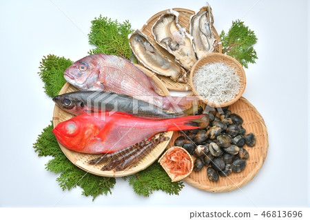 Attention) There are small scratches and small scratches on the background. Fish and shellfish (golden eyelids, sea bream, salmon, oysters, clams, prawns, shirasu, cherry shrimp) 46813696