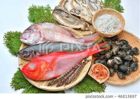 注意）背景上有小划痕和小划痕。魚類和貝類（金色眼瞼，鯛魚，鮭魚，牡蠣，蛤蜊，蝦，shirasu，櫻桃蝦） 46813697