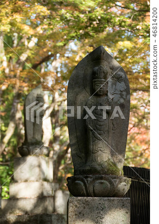 Saori寺廟秋葉 46814200