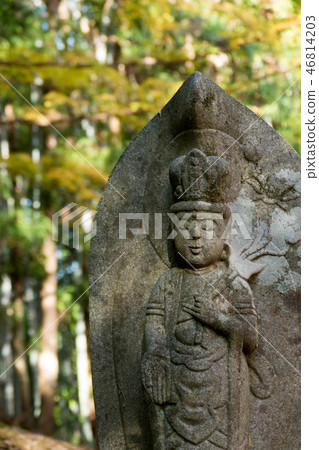 Saori寺廟秋葉 Saori寺廟秋葉 46814203