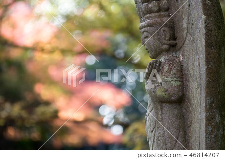 Saori寺廟秋葉 Saori寺廟秋葉 46814207