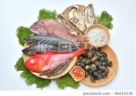 Attention) There is a small trash on the background. Fish and shellfish (golden fish, sea bream, sea bream, sage, oyster, clam, prawn, shirasu, cherry prawn) 46814236