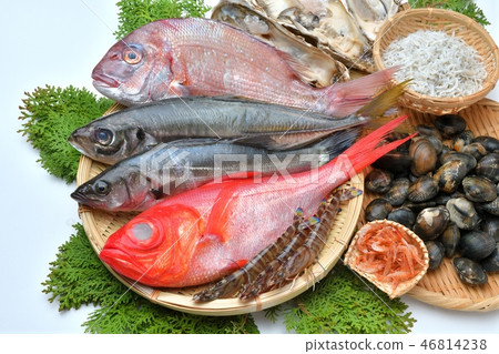 注意)背景上有一個小垃圾。魚類和貝類(金魚,鯛魚,鯛魚,鼠尾草,牡蠣,蛤蜊,蝦,shirasu,櫻桃蝦) 注意)背景上有一個小垃圾。魚類和貝類(金魚,鯛魚,鯛魚,鼠尾草,牡蠣,蛤蜊,蝦,shirasu,櫻桃蝦) 46814238