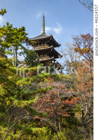 Sankei-en gardens, Yokohama Sankei-en gardens, Yokohama 46814557