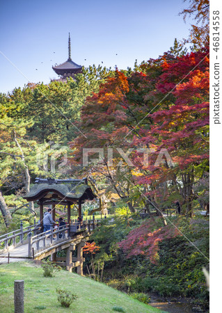 Sankei-en gardens, Yokohama Sankei-en gardens, Yokohama 46814558