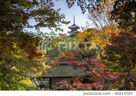 Sankei-en gardens, Yokohama Sankei-en gardens, Yokohama 46814565