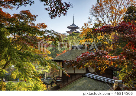 Sankei-en gardens, Yokohama Sankei-en gardens, Yokohama 46814566