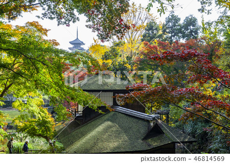 Sankei-en gardens, Yokohama Sankei-en gardens, Yokohama 46814569