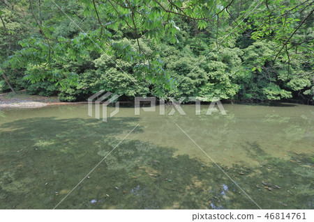 an Zen garden, Ritsurin Park, Takamatsu, Shikoku 46814761