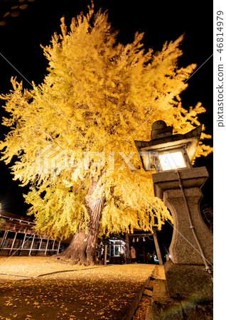 點燃Niyu Shuden Shrine Shinkan 點燃Niyu Shuden Shrine Shinkan 46814979