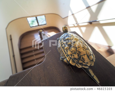 Toyosato Elementary School Old School Buildings 46815103