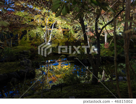 Keihanna紀念公園水景花園秋葉 Keihanna紀念公園水景花園秋葉 46815802