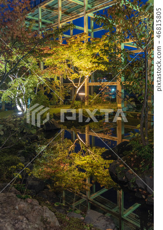 Keihanna Memorial Park Waterscape Garden Autumn leaves 46815805