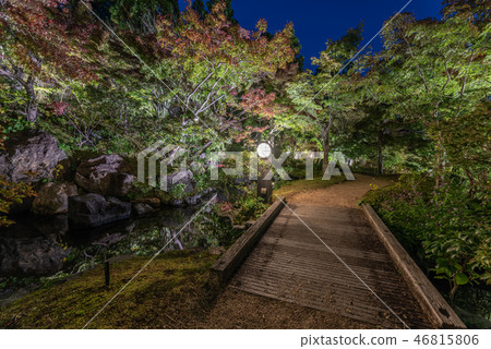 Keihanna Memorial Park Waterscape Garden Autumn leaves 46815806