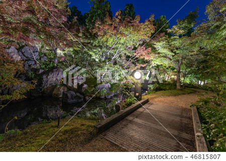 Keihanna Memorial Park Waterscape Garden Autumn leaves Keihanna Memorial Park Waterscape Garden Autumn leaves 46815807