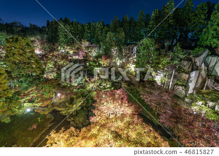 Keihanna紀念公園水景花園秋葉 Keihanna紀念公園水景花園秋葉 46815827