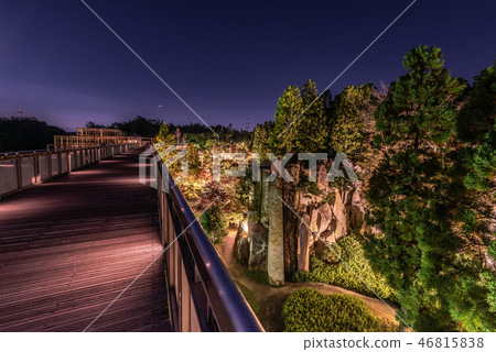 Keihanna紀念公園水景花園秋葉 Keihanna紀念公園水景花園秋葉 46815838